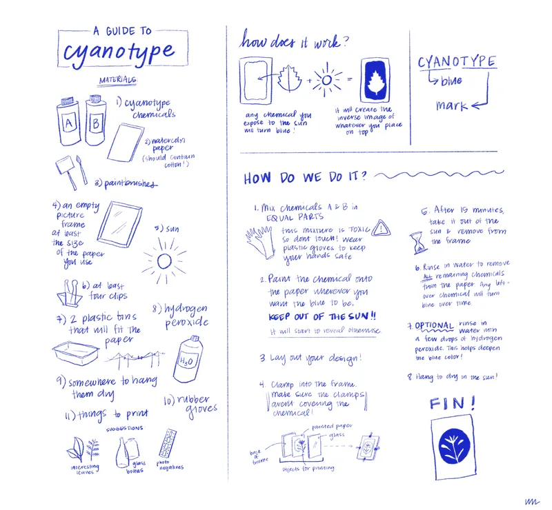 Illustrated Guide: Cyanotype