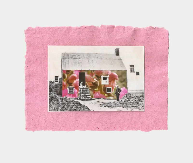 Everything in bloom
